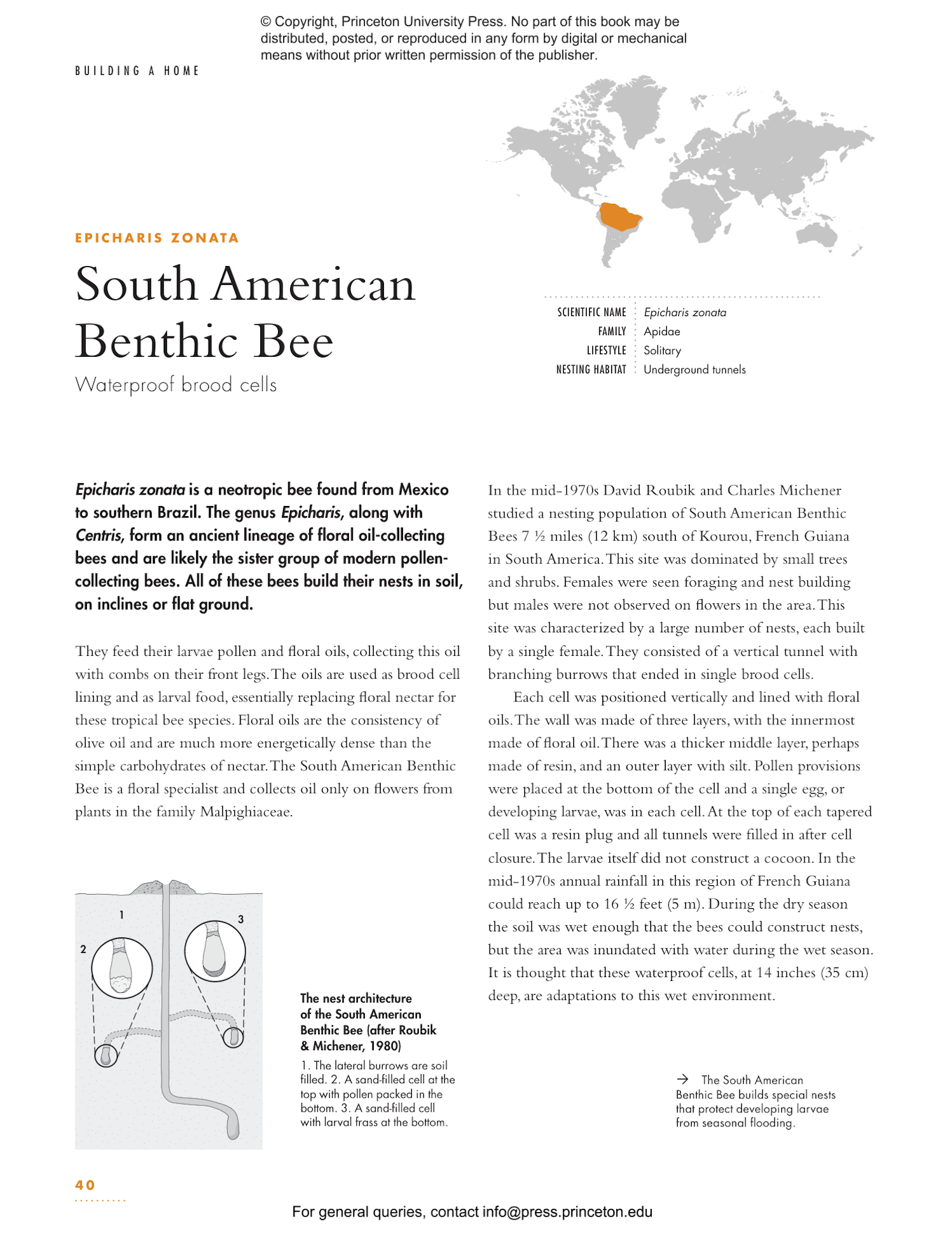 The Lives of Bees: A Natural History of Our Planet's Bee Life