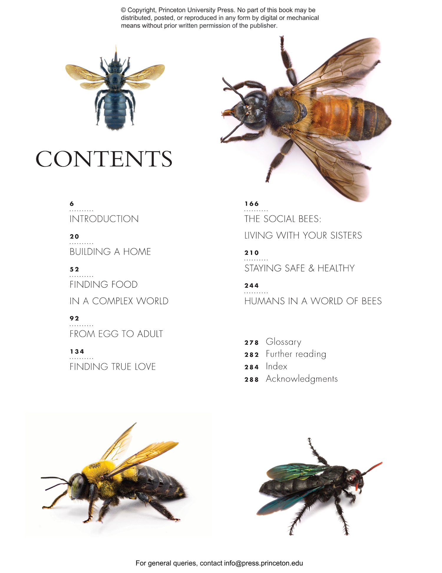 The Lives of Bees: A Natural History of Our Planet's Bee Life