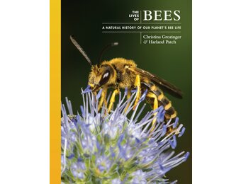The Lives of Bees