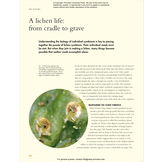 The Lives of Lichens: A Natural History