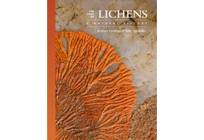 The Lives of Lichens