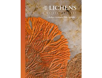The Lives of Lichens