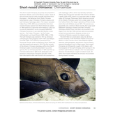 Field Guide to Sharks, Rays and Chimaeras of the East Coast of North America