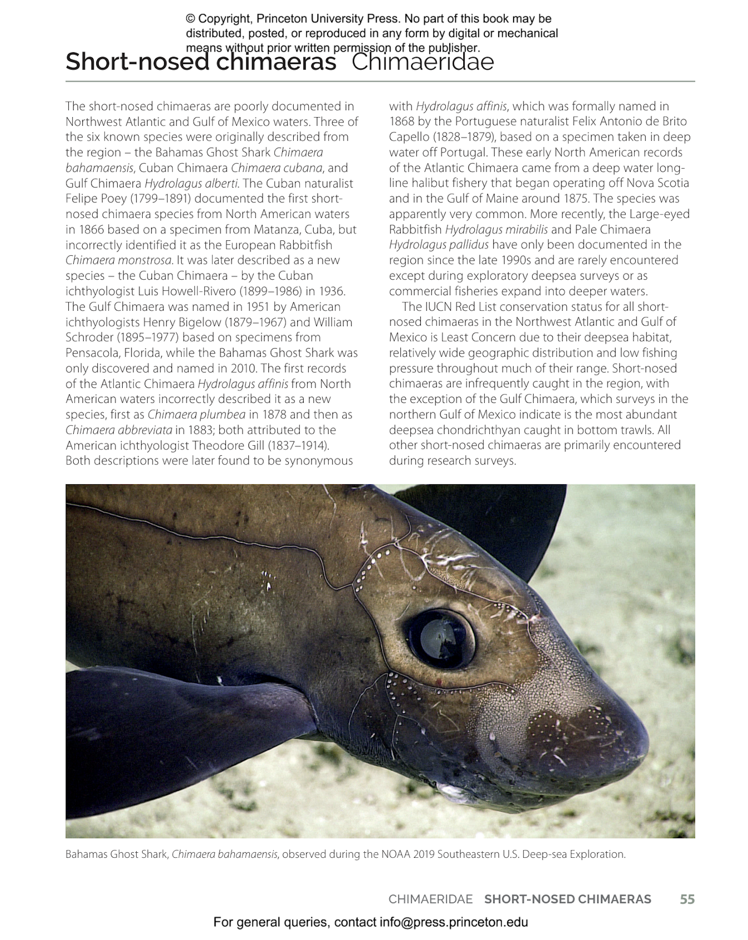 Field Guide to Sharks, Rays and Chimaeras of the East Coast of North America