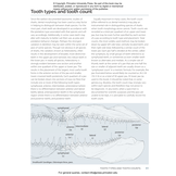 Field Guide to Sharks, Rays and Chimaeras of the East Coast of North America
