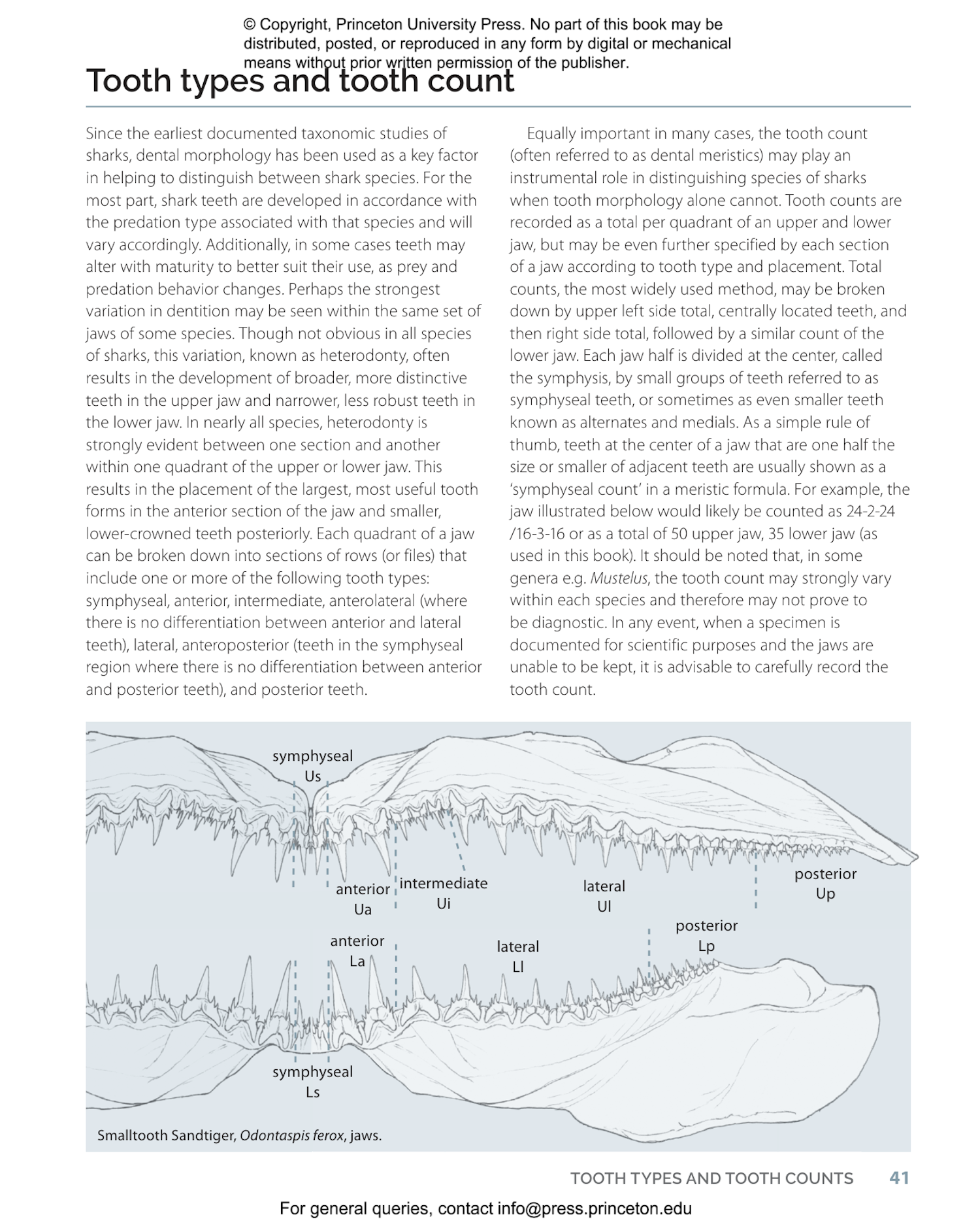 Field Guide to Sharks, Rays and Chimaeras of the East Coast of North America