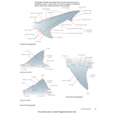 Field Guide to Sharks, Rays and Chimaeras of the East Coast of North America