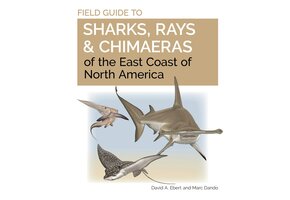 Field Guide to Sharks, Rays and Chimaeras