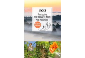 De mooiste stiltewandelingen van Nederland