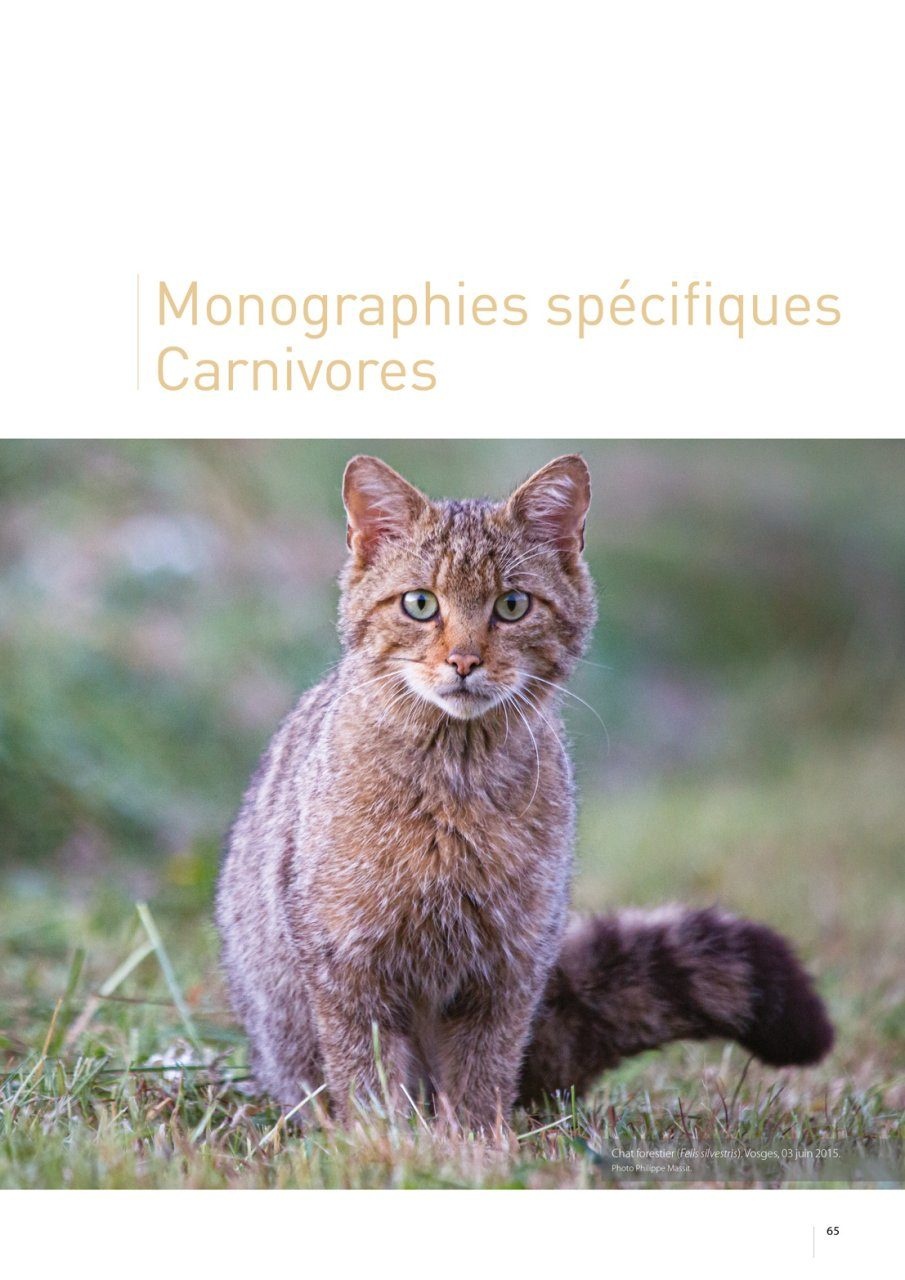 Atlas des Mammifères Sauvages de France Volume 3 - Carnivores et Primates