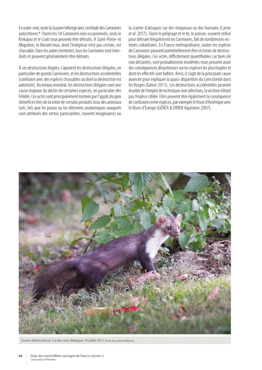 Atlas des Mammifères Sauvages de France Volume 3 - Carnivores et Primates