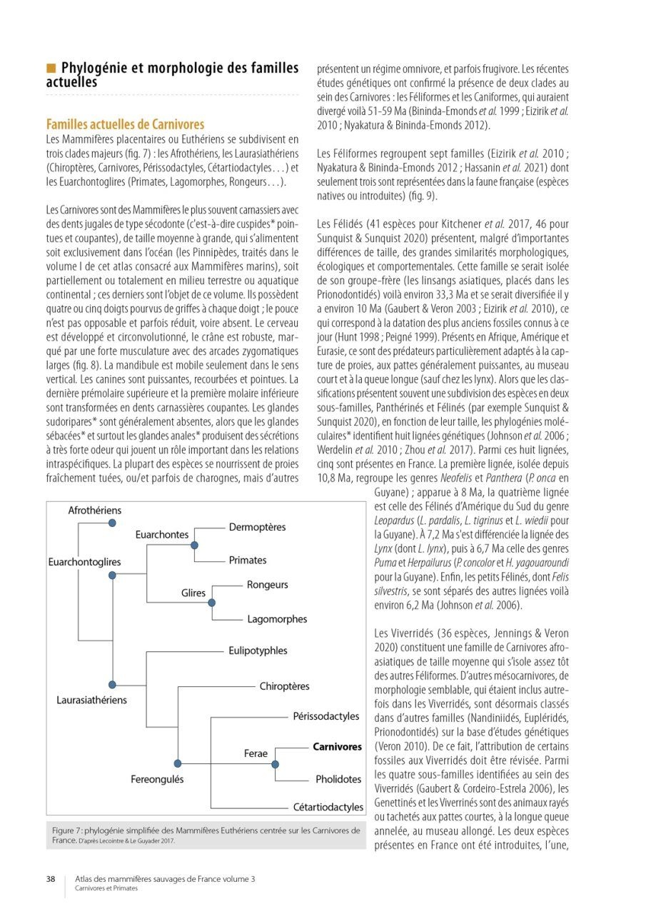 Atlas des Mammifères Sauvages de France Volume 3 - Carnivores et Primates