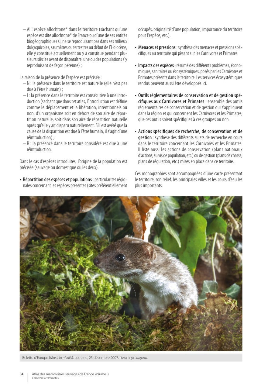 Atlas des Mammifères Sauvages de France Volume 3 - Carnivores et Primates