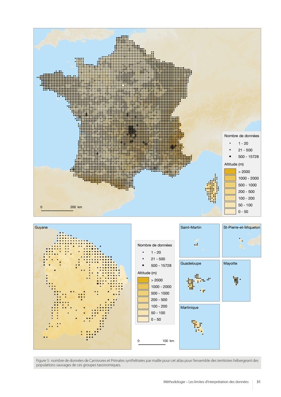 Atlas des Mammifères Sauvages de France Volume 3 - Carnivores et Primates