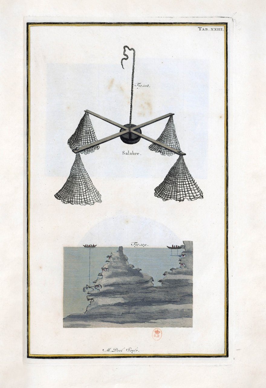 Elusive Partners - Contemporary Anthropological Perspectives on Marine Species