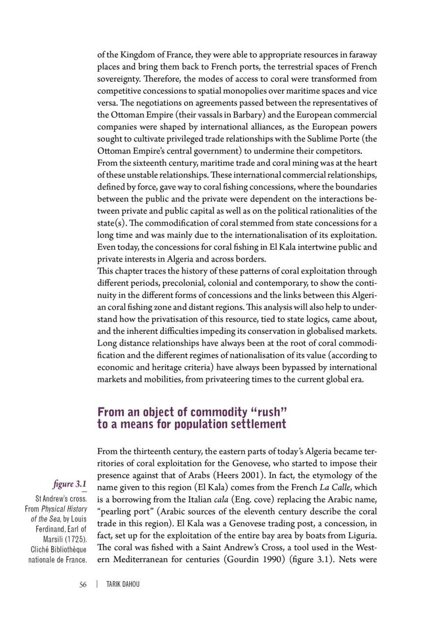 Elusive Partners - Contemporary Anthropological Perspectives on Marine Species