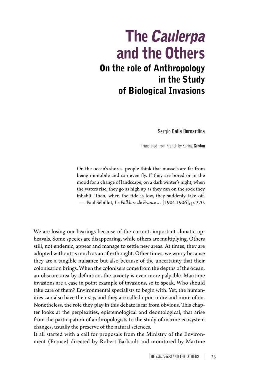 Elusive Partners - Contemporary Anthropological Perspectives on Marine Species