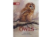 Owls