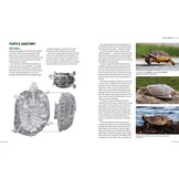 Turtles of North America - An Illustrated Field Guide to the Turtles of the Continental United States and Canada