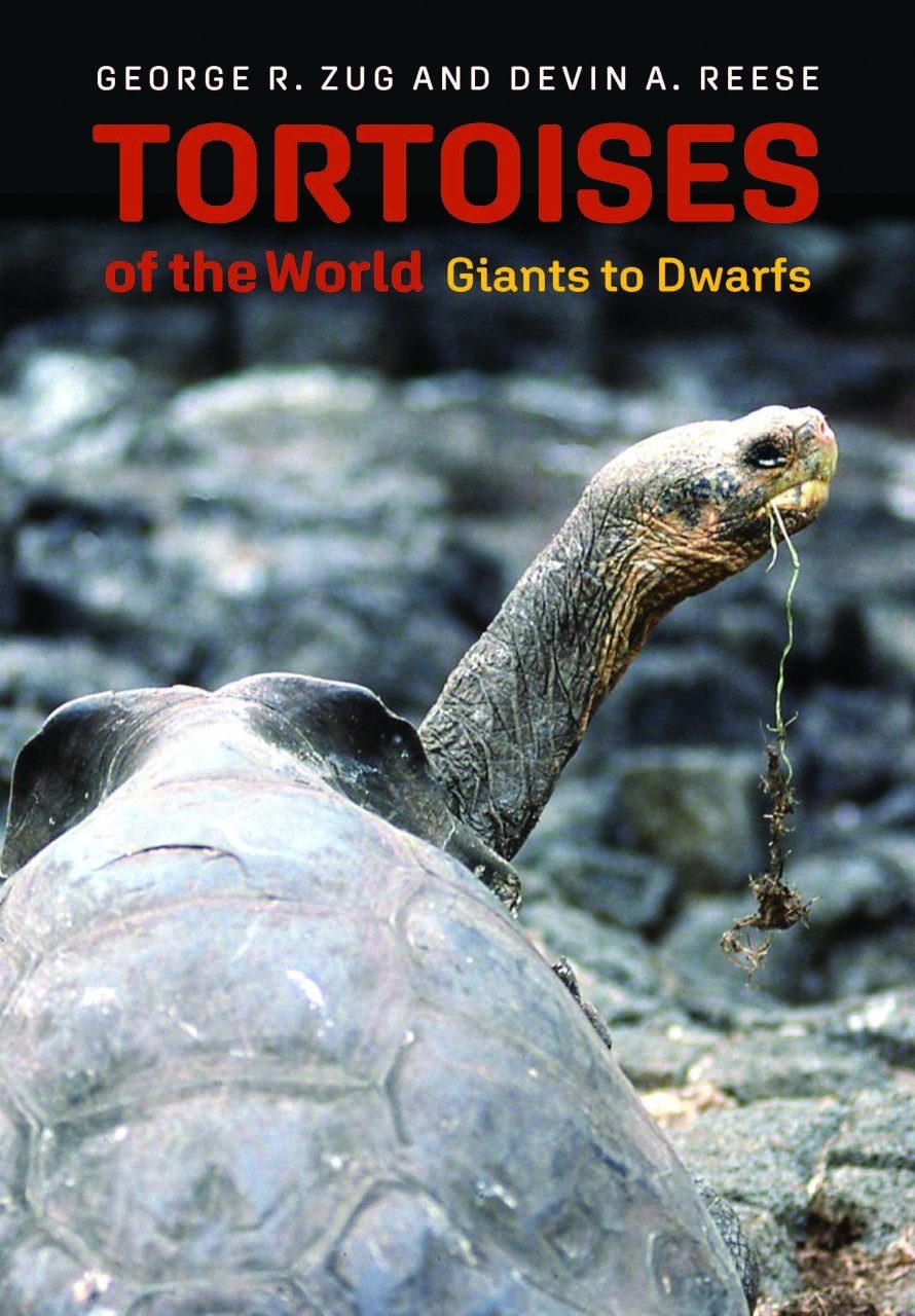 Tortoises of the World: Giants to Dwarfs