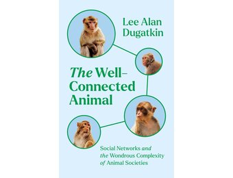 The Well-Connected Animal