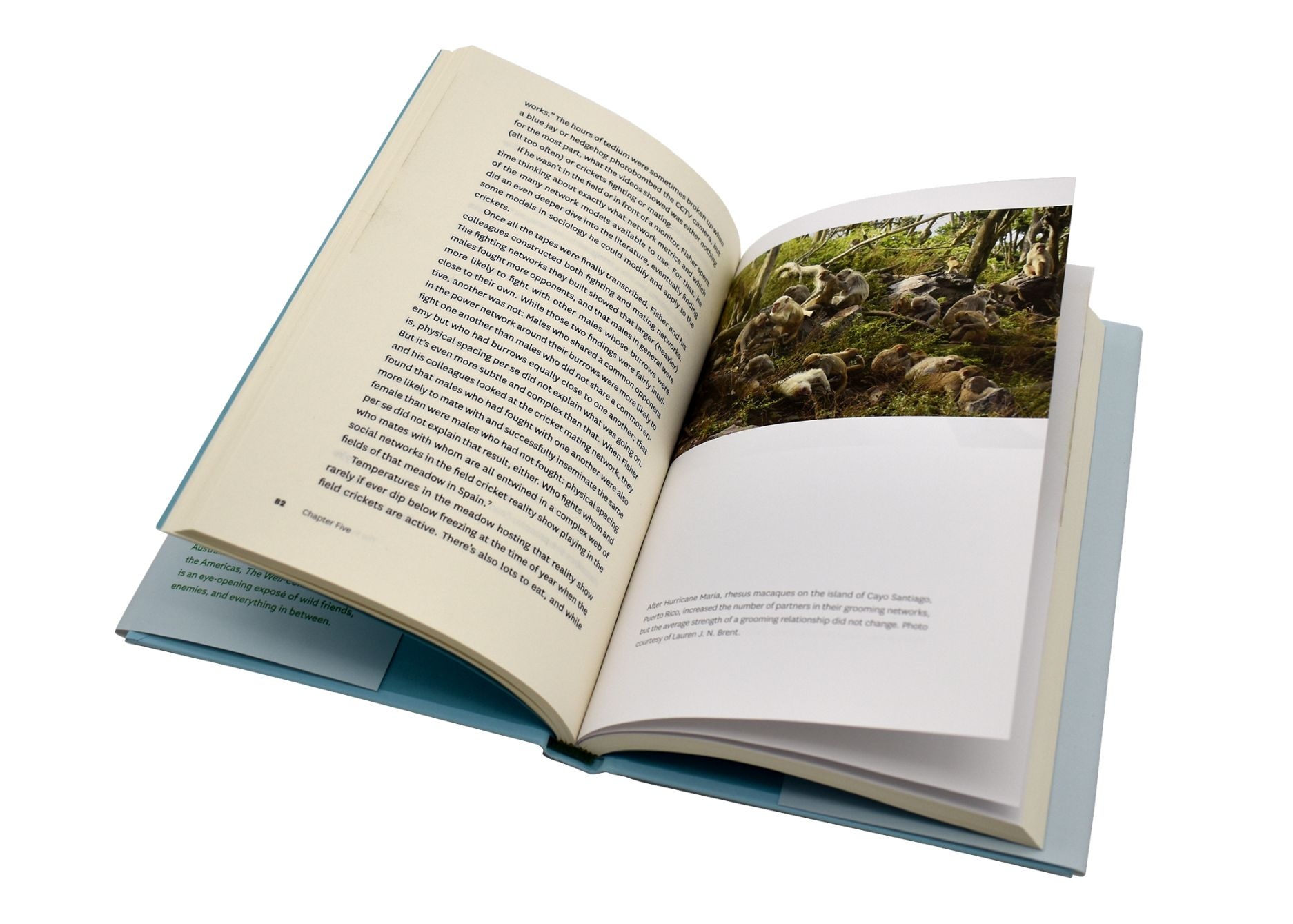 The Well-Connected Animal - Social Networks and the Wondrous Complexity of Animal Societies