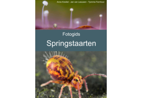 Fotogids Springstaarten