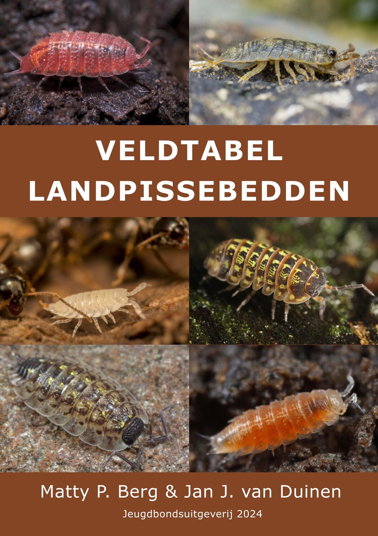 Veldtabel Landpissebedden