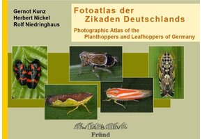 Fotoatlas der Zikaden Deutschlands