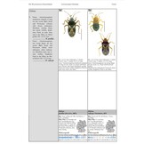 Die Wasserwanzen Deutschlands - Bestimmungsschlüssel für Alle Nepo- und Gerromorpha