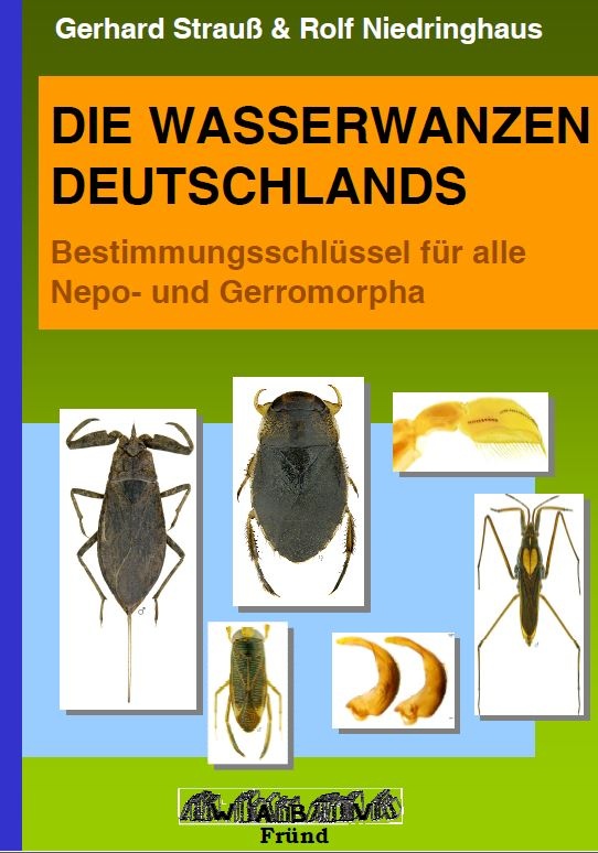 Die Wasserwanzen Deutschlands - Bestimmungsschlüssel für Alle Nepo- und Gerromorpha