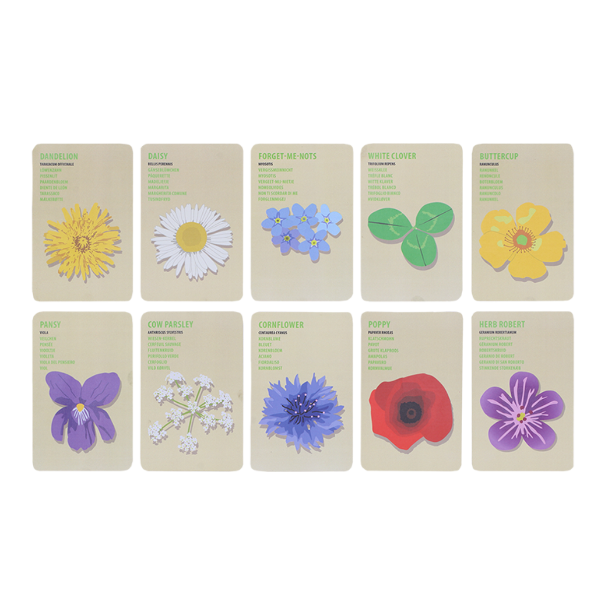 Explorer bag flowers for children