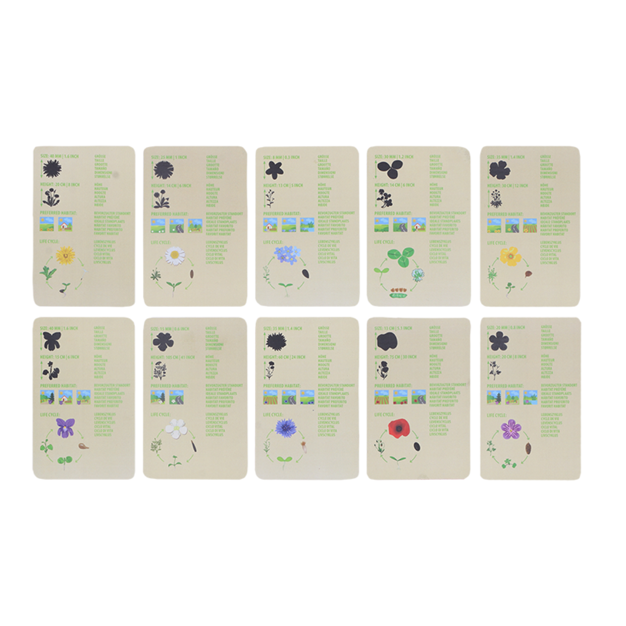 Explorer bag flowers for children