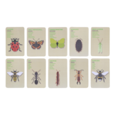 Ontdekkerstas insecten voor kinderen