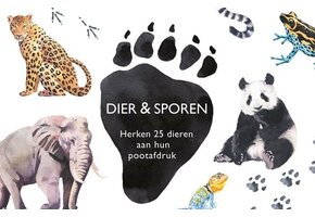 Memo-Spiel -  Tiere und Spuren