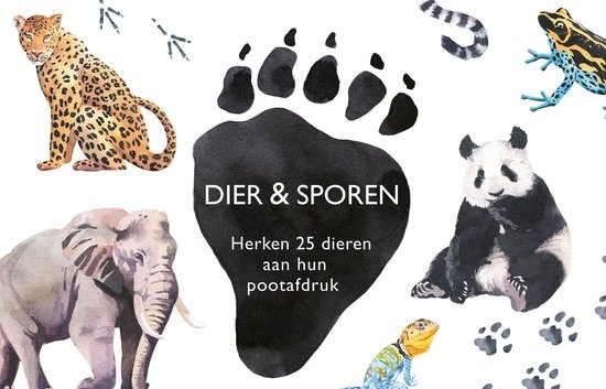 Memo-Spiel -  Tiere und Spuren