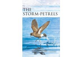 The Storm-Petrels