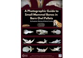A Photographic Guide to Small Mammal Bones in Barn Owl Pellets
