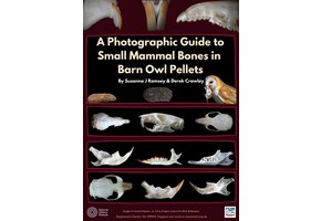 A Photographic Guide to Small Mammal Bones in Barn Owl Pellets
