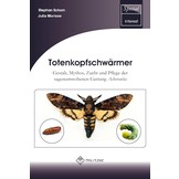 Totenkopfschwärmer -  Gestalt, Mythos, Zucht und Pflege der sagenumwobenen Gattung Acherontia