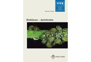 Blattläuse