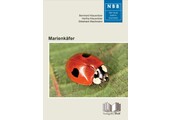 Marienkäfer