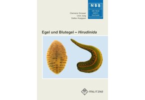 Egel und Blutegel