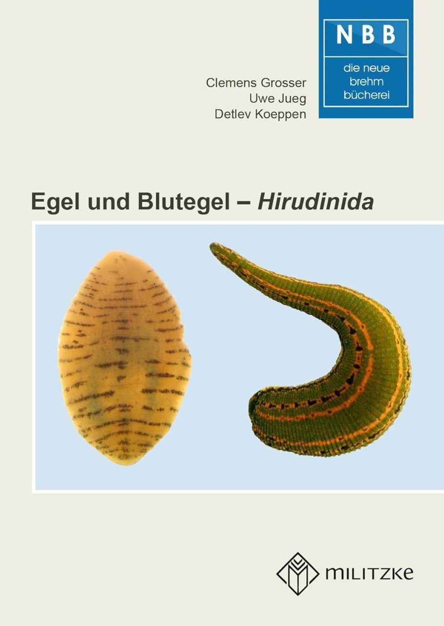 Egel und Blutegel - Hirudinida