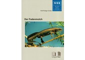 Der Fadenmolch