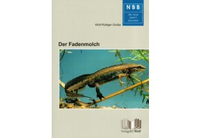 Der Fadenmolch