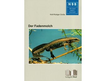 Der Fadenmolch