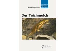 Der Teichmolch
