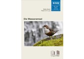 Die Wasseramsel