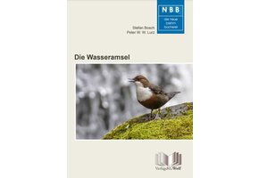 Die Wasseramsel